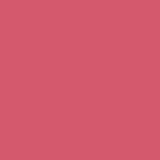 BUBBLEGUM Creamy Matte Liquid Lipstick